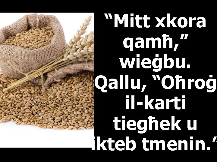 “Mitt xkora qamħ, ” wieġbu. Qallu, “Oħroġ il-karti tiegħek u ikteb tmenin. ” 