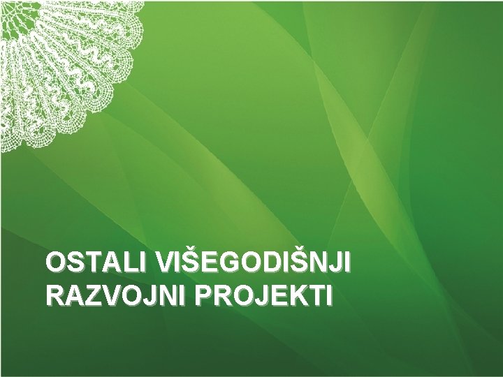 OSTALI VIŠEGODIŠNJI RAZVOJNI PROJEKTI 