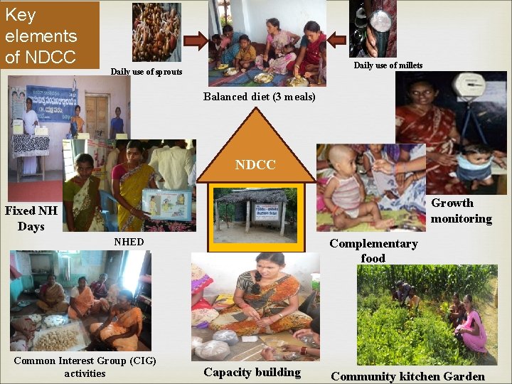 Key elements of NDCC Daily use of millets Daily use of sprouts Balanced diet