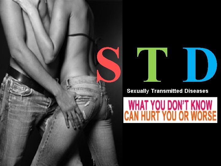 STD Sexually Transmitted Diseases 