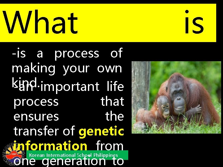 What is -is a process of reproduction? making your own kind. -an important life