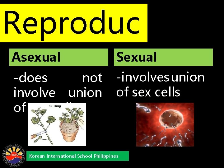 Reproduc Asexual Sexual tion: Reproduction -does not -involves union involve union of sex cells