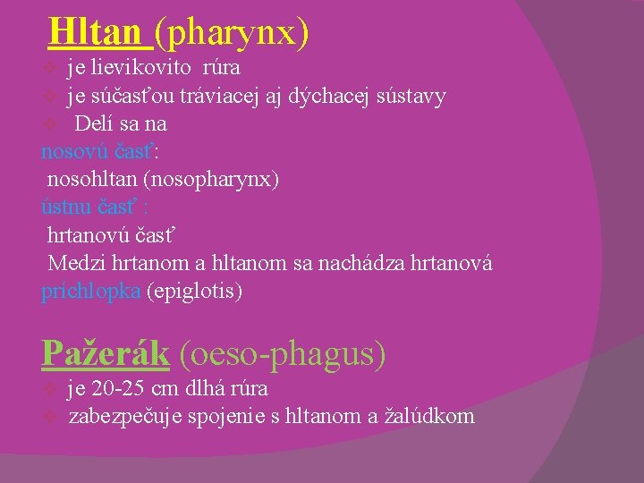 Hltan (pharynx) je lievikovito rúra je súčasťou tráviacej aj dýchacej sústavy Delí sa na