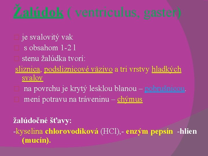 Žalúdok ( ventriculus, gaster) je svalovitý vak � s obsahom 1 -2 l �