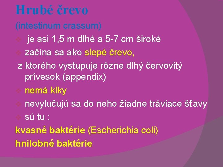 Hrubé črevo (intestinum crassum) v je asi 1, 5 m dlhé a 5 -7