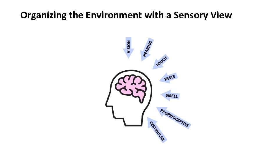 Organizing the Environment with a Sensory View 