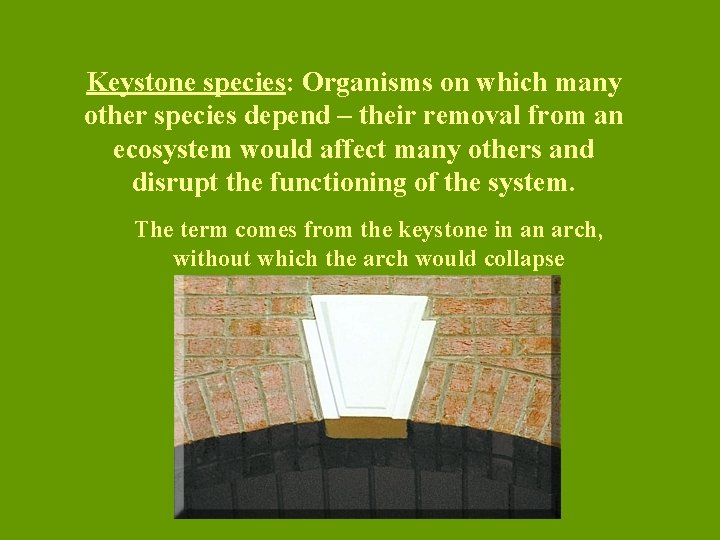 Keystone species: Organisms on which many other species depend – their removal from an