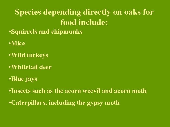 Species depending directly on oaks for food include: • Squirrels and chipmunks • Mice