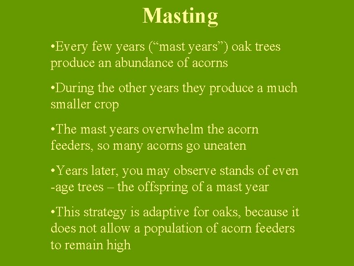Masting • Every few years (“mast years”) oak trees produce an abundance of acorns