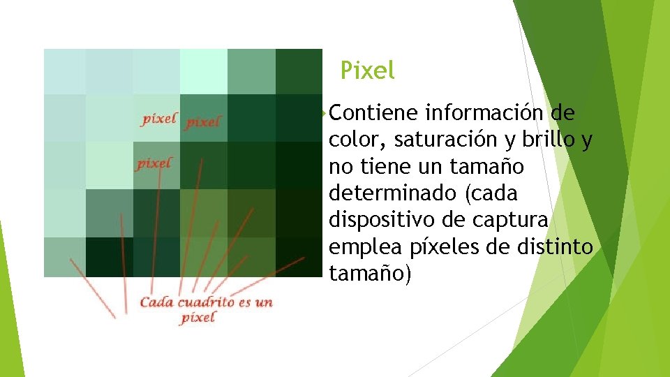 Pixel Contiene información de color, saturación y brillo y no tiene un tamaño determinado