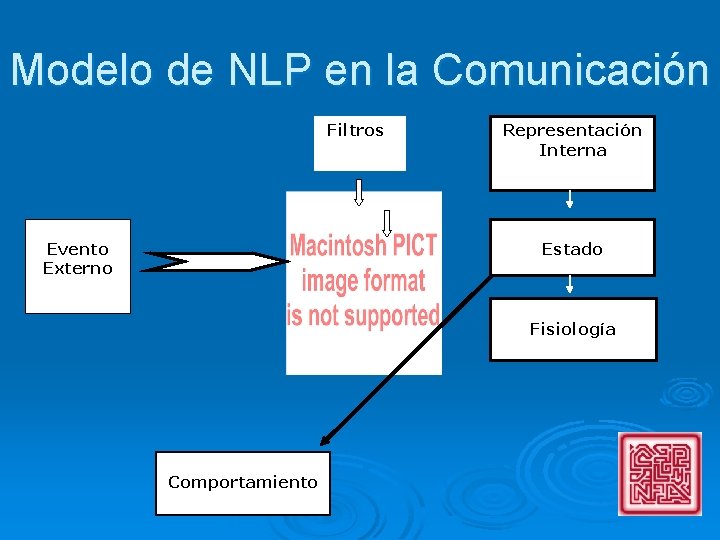 Modelo de NLP en la Comunicación Filtros Evento Externo Representación Interna Estado Fisiología Comportamiento