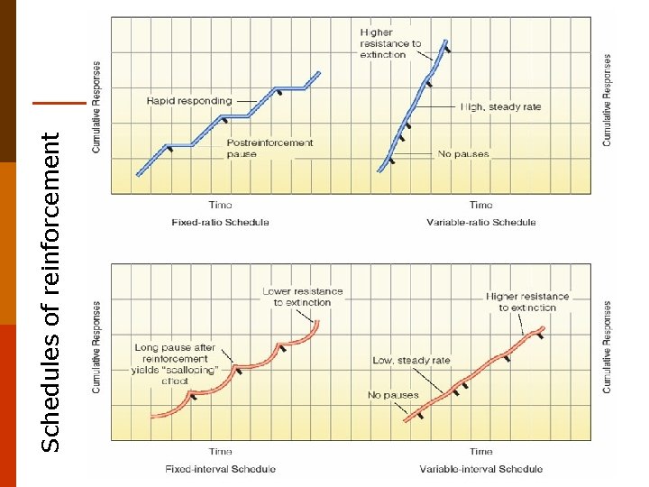 Schedules of reinforcement 