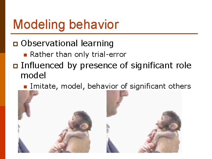 Modeling behavior p Observational learning n p Rather than only trial-error Influenced by presence