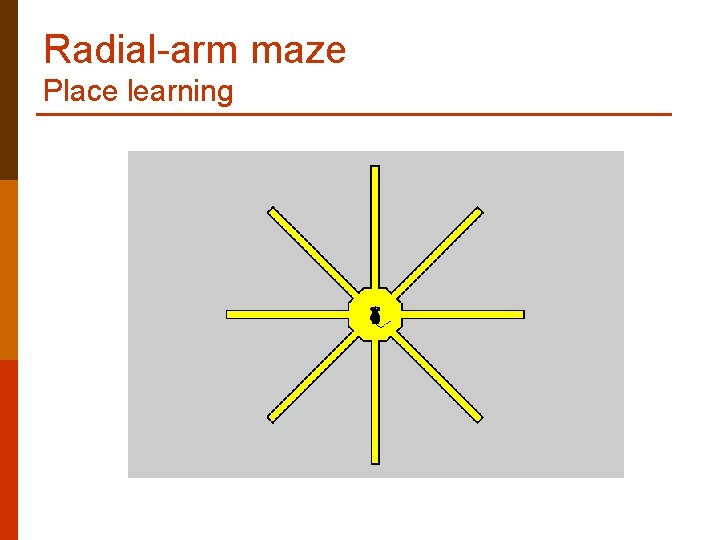 Radial-arm maze Place learning 