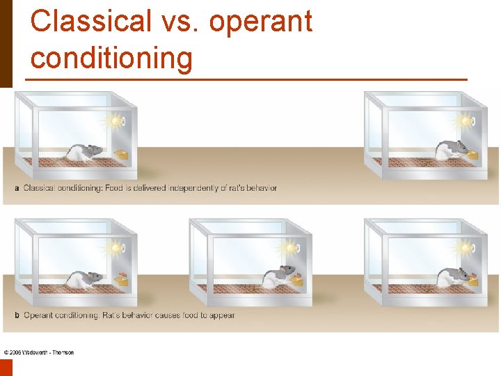 Classical vs. operant conditioning 