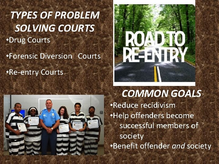 TYPES OF PROBLEM SOLVING COURTS • Drug Courts • Forensic Diversion Courts • Re-entry