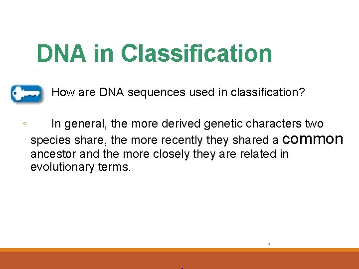 DNA in Classification ◦ ◦ How are DNA sequences used in classification? In general,