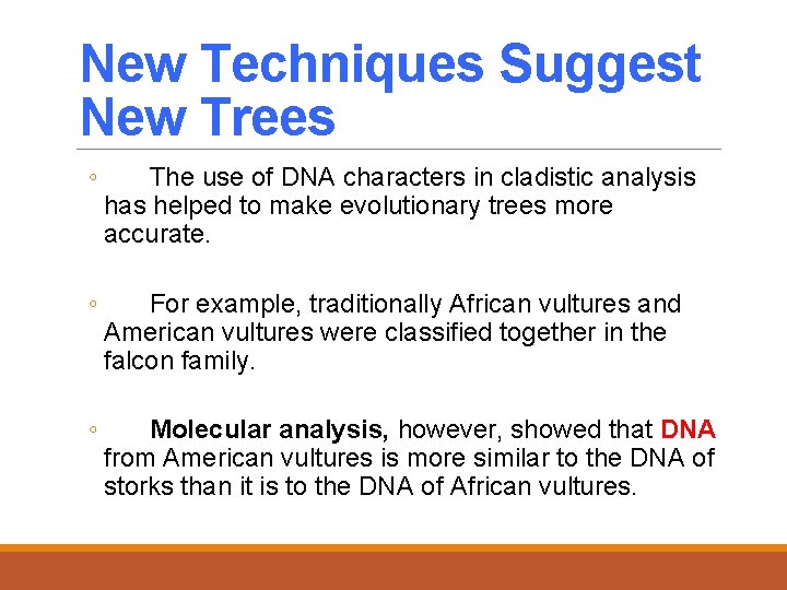 New Techniques Suggest New Trees ◦ The use of DNA characters in cladistic analysis
