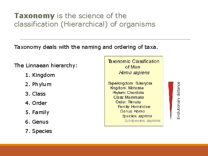 Taxonomy is the science of the classification (Hierarchical) of organisms Taxonomy deals with the