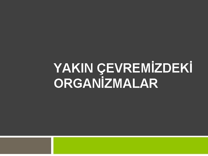 YAKIN ÇEVREMİZDEKİ ORGANİZMALAR 