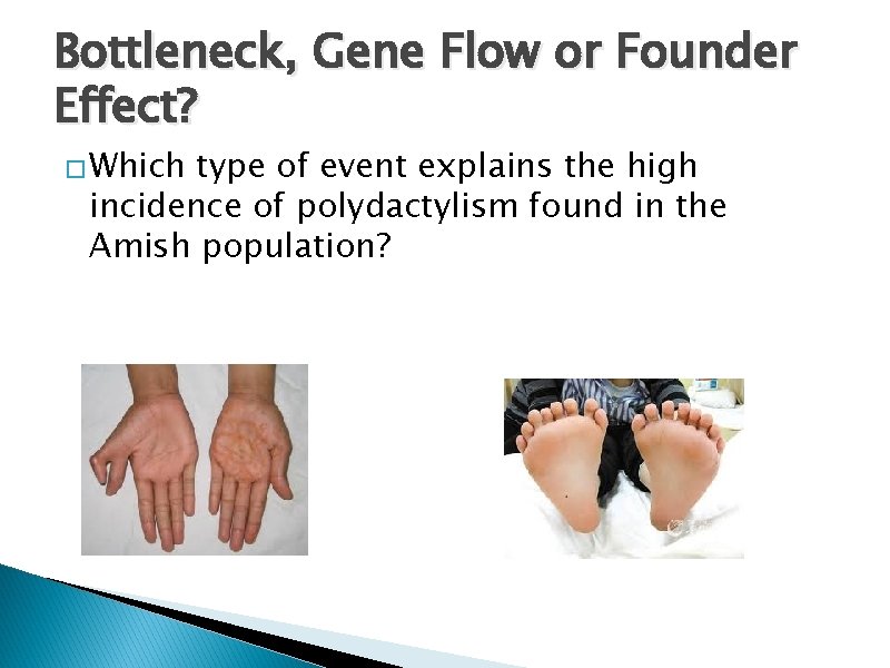 Bottleneck, Gene Flow or Founder Effect? � Which type of event explains the high