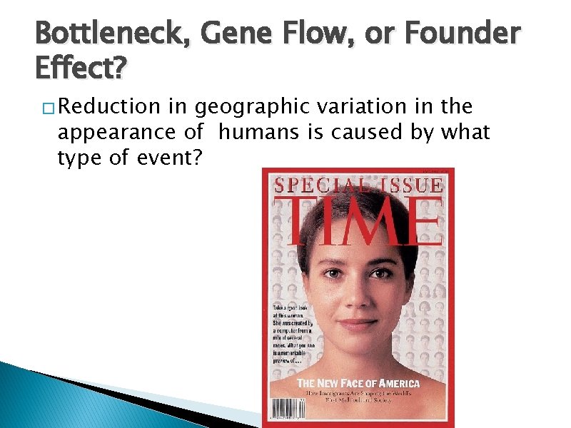 Bottleneck, Gene Flow, or Founder Effect? � Reduction in geographic variation in the appearance