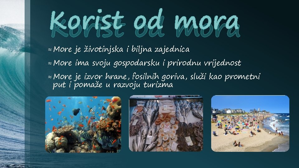 Korist od mora ≈ More je životinjska i biljna zajednica ≈ More ima svoju