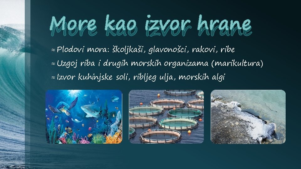 More kao izvor hrane ≈ Plodovi ≈ Uzgoj ≈ Izvor mora: školjkaši, glavonošci, rakovi,