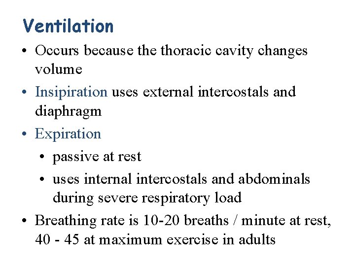 Ventilation • Occurs because thoracic cavity changes volume • Insipiration uses external intercostals and