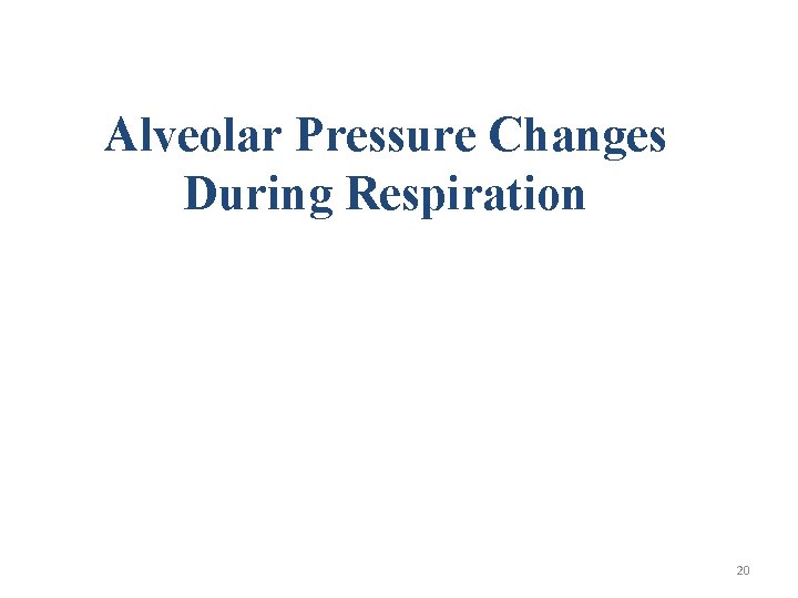 Alveolar Pressure Changes During Respiration 20 