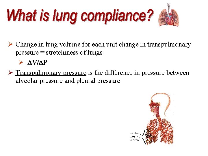 Ø Change in lung volume for each unit change in transpulmonary pressure = stretchiness