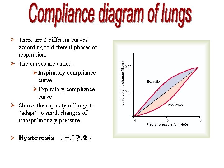Ø There are 2 different curves according to different phases of respiration. Ø The