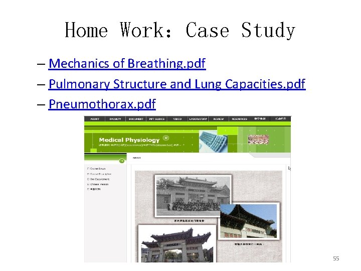 Home Work：Case Study – Mechanics of Breathing. pdf – Pulmonary Structure and Lung Capacities.