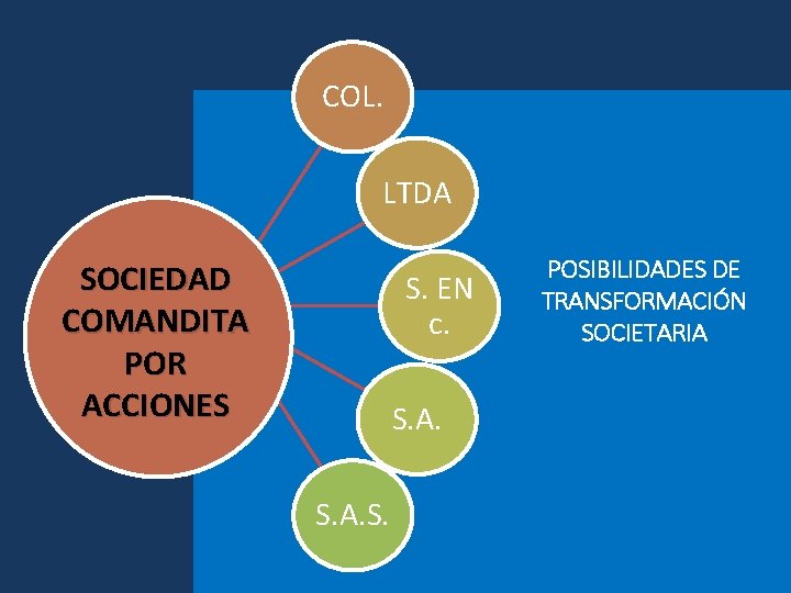 COL. LTDA SOCIEDAD COMANDITA POR ACCIONES S. EN c. S. A. S. POSIBILIDADES DE