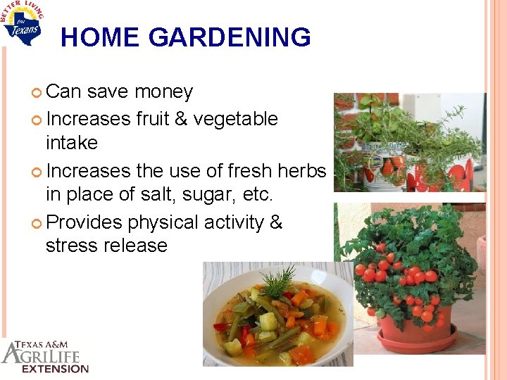 HOME GARDENING Can save money Increases fruit & vegetable intake Increases the use of