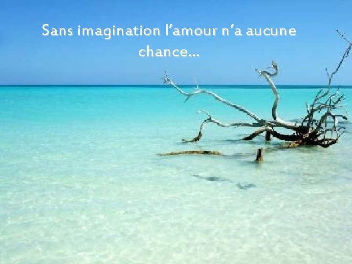 Sans imagination l’amour n’a aucune chance… 