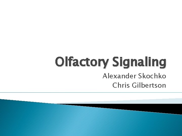 Olfactory Signaling Alexander Skochko Chris Gilbertson 