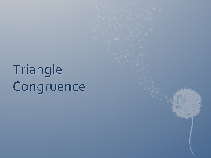 Triangle Congruence 