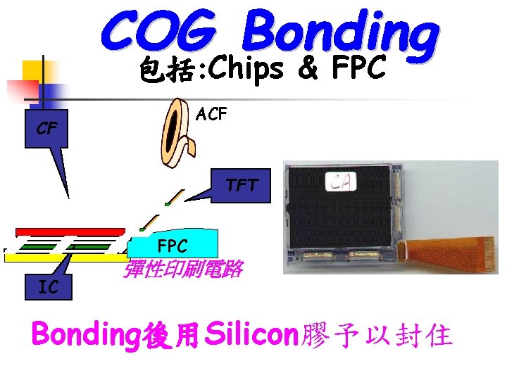 包括: Chips & FPC ACF CF TFT FPC IC 彈性印刷電路 Bonding後用Silicon膠予以封住 