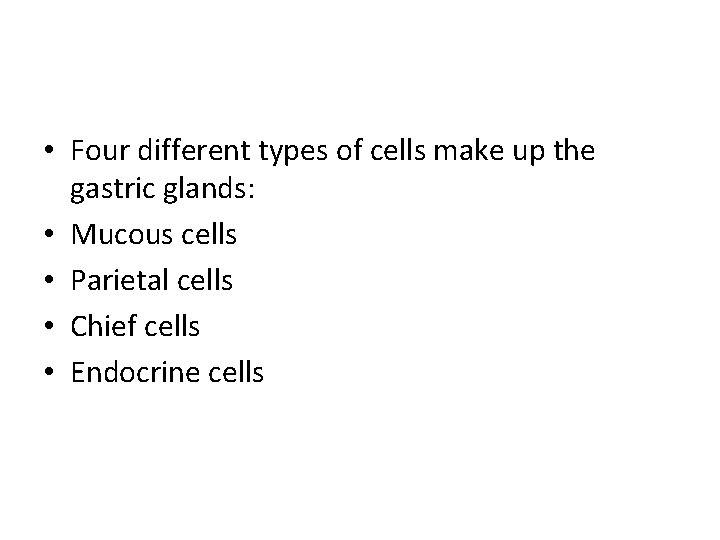  • Four different types of cells make up the gastric glands: • Mucous