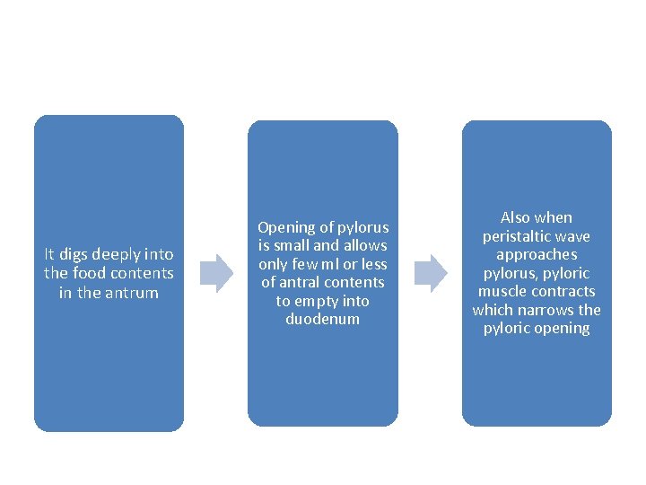It digs deeply into the food contents in the antrum Opening of pylorus is