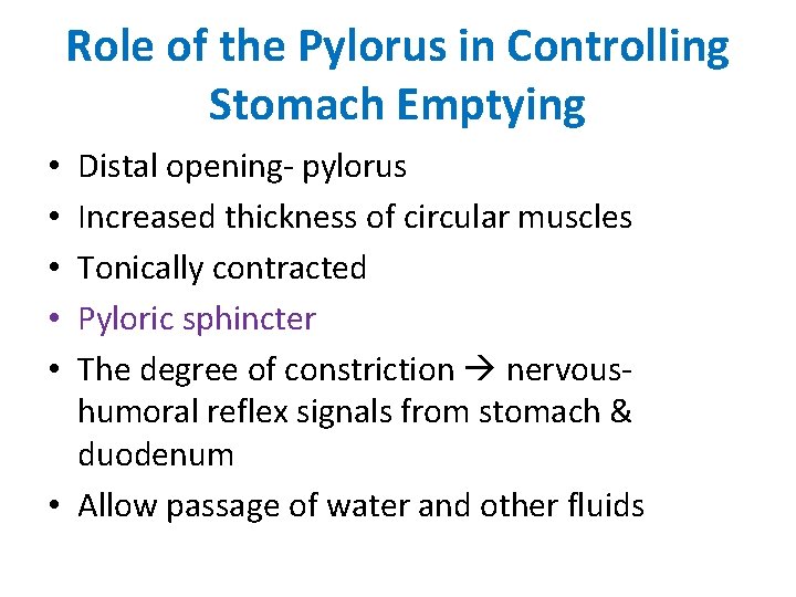 Role of the Pylorus in Controlling Stomach Emptying Distal opening- pylorus Increased thickness of