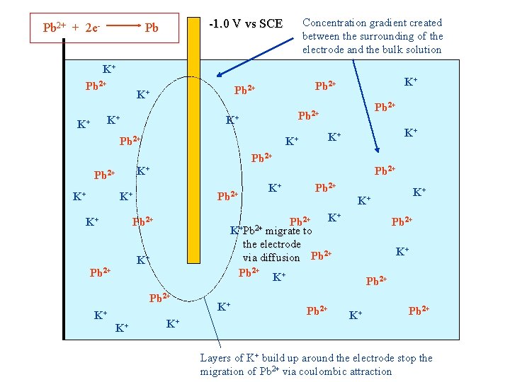 Pb 2+ + 2 e- Concentration gradient created between the surrounding of the electrode