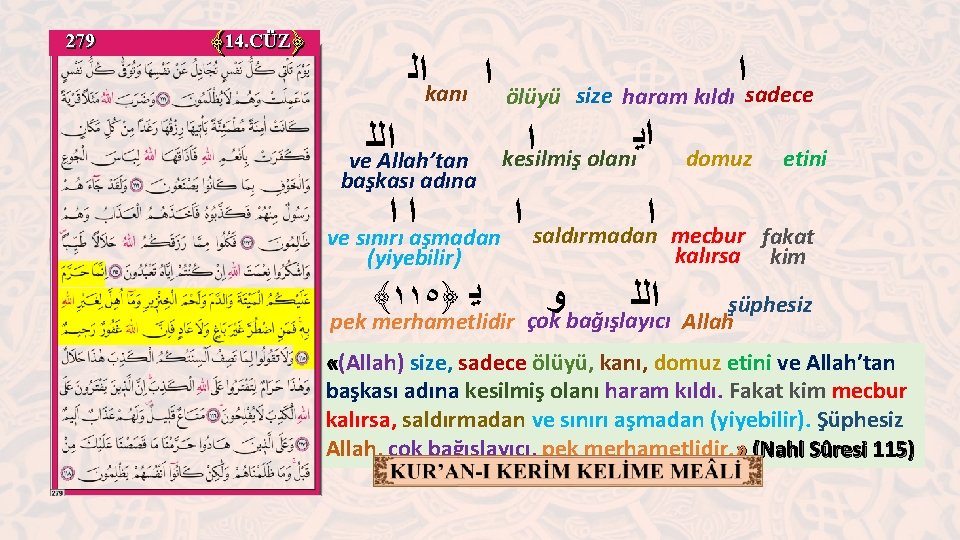 279 ﴾ 14. CÜZ﴿ ﺍﻟ kanı ﺍ ﺍﻟﻠ ve Allah’tan başkası adına ölüyü ﺍ