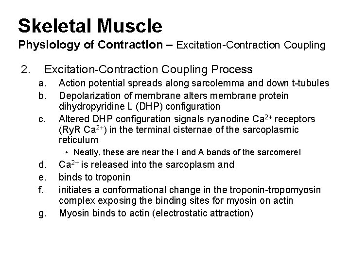 Skeletal Muscle Physiology of Contraction – Excitation-Contraction Coupling 2. Excitation-Contraction Coupling Process a. b.