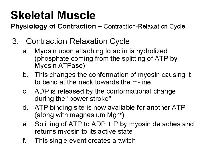 Skeletal Muscle Physiology of Contraction – Contraction-Relaxation Cycle 3. Contraction-Relaxation Cycle a. Myosin upon