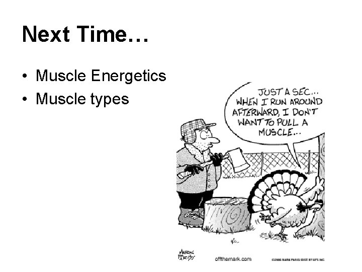 Next Time… • Muscle Energetics • Muscle types 