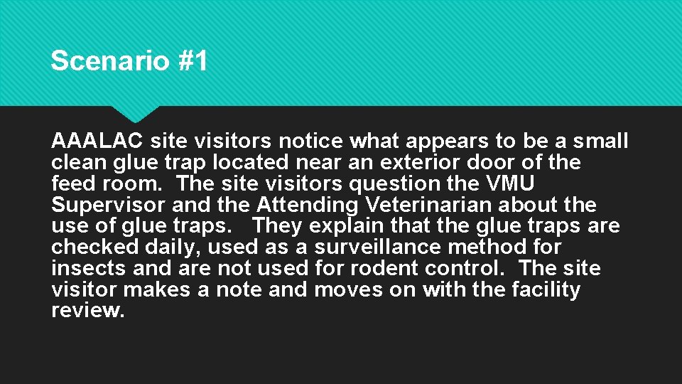 Scenario #1 AAALAC site visitors notice what appears to be a small clean glue Scenario #1 AAALAC site visitors notice what appears to be a small clean glue