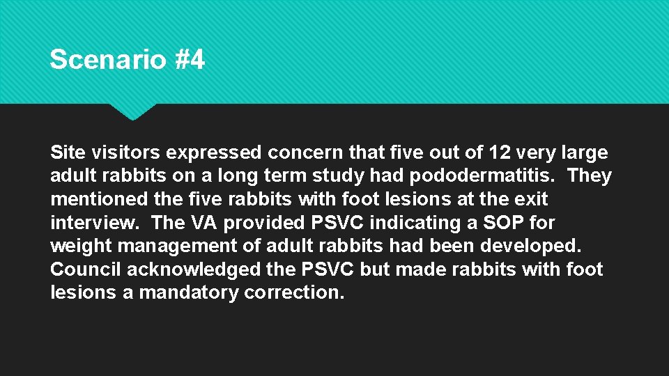 Scenario #4 Site visitors expressed concern that five out of 12 very large adult Scenario #4 Site visitors expressed concern that five out of 12 very large adult