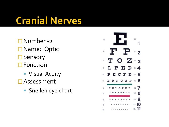 Cranial Nerves � Number -2 � Name: Optic � Sensory � Function Visual Acuity